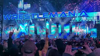 Roman Reigns enterence at Wrestlemania 40 night 2.