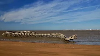 Serpent d’Océan | A Massive Metal Sea Serpent Skeleton on a Beach in France