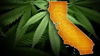 LA Will Become Largest US City With Recreational Pot