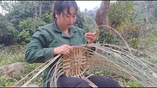 The poor woman went to get bamboo to make baskets for use in daily life