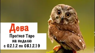 Дева _ гороскоп таро на неделю с 02.12 по 08.12.19 _ Таро прогноз