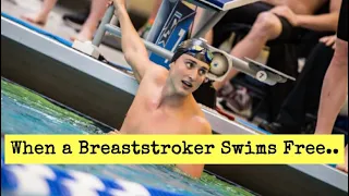 Watch Breaststroker Liam Bell POP OFF blazing 50 Free | NCAA Prelims