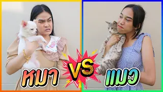 หมา VS แมว  ต่างกันยังไง ? (ปลาทู X โมโม่)