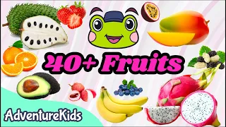 🍉 LEARN FRUIT NAMES 🥝 40+ Fruits 🥥🍓🍊🍋🍏🍇🫐 | 💗LEARN ENGLISH WORDS | ADVENTURE KIDS 🐸 Nursery Teaching