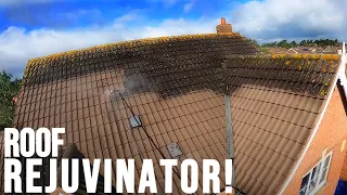 Neighbour Nearly Stopped Us Getting This Job!  - Full Roof Transformation!