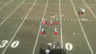 LB Fast Read Drill