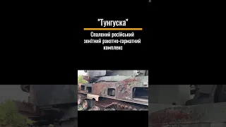 Спалений російський зенітний ракетно-гарматний комплекс "Тунгуска"