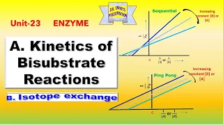 Kinetics of Bisubstrate Reactions || Isotope Exchange || Enzyme 23