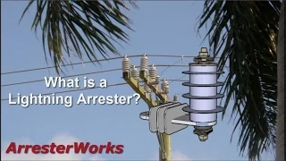 What is a Lightning Arrester