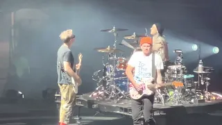 Blink 182 - What’s My Age Again? (Live in Toronto 2023)