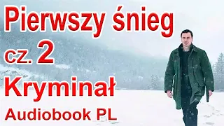 Kryminał, sensacja, thriller po polsku/cz.2