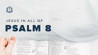 Psalm 8 | What is Mankind that You Are Mindful of Him? | Bible Study