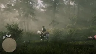 Red Dead Redemption 2 How to get a Moose to spawn