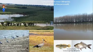 RED Geografie Elemente de geografie a României  Clima, apele, vegetația, animalele și solurile