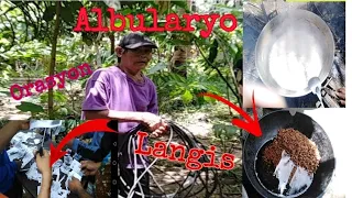 ALBULARYO  GUMAGAWA NG LANGIS ,PINUPUNTAHAN NG MGA TAO TUWING BERNES SANTO