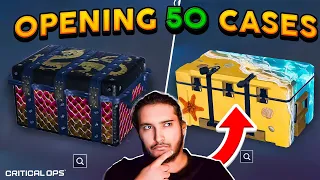 Opening 50 Fantasy + Summer Cases!