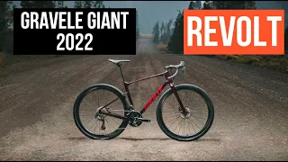 GIANT REVOLT omówienie serii rowerów GRAVEL od Gianta