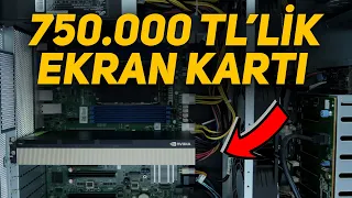 Bu ekran kartı 750.000 TL | Yok satıyor, herkes almak istiyor