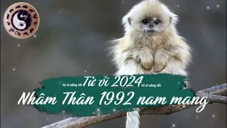 Tử vi tuổi Nhâm Thân 1992 nam mạng năm 2024