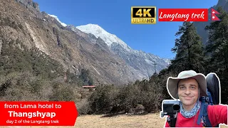 🥾 Lama hotel to Thangshyap ⛰️ SOLO Langtang trek | FULL WALKTHROUGH POV