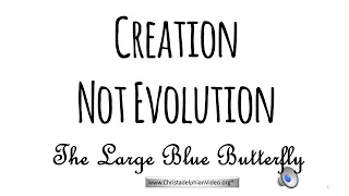 Proof Of Creation: 'The Large Blue Butterfly'