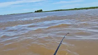 "ME PICO UNA BESTIA GIGANTE EN ESTE LUGAR MUY PROFUNDO" PESCA EN FIGHIERA Y RIO PAVON-NICO REYNOSO