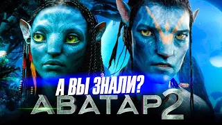 АВАТАР 2: ПУТЬ ВОДЫ интересные факты о фильме