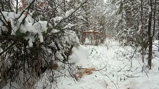 Жизнь и промысел в тайге.