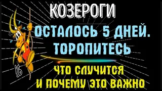 ♑КОЗЕРОГИ ОСТАЛОСЬ 5 ДНЕЙ ТОРОПИТЕСЬ! ЧТО ПРОИЗОЙДЁТ И КАК С ЭТИМ БЫТЬ!