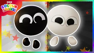 Black and White's BEST Moments | Kids Learn Colours! | Colourblocks