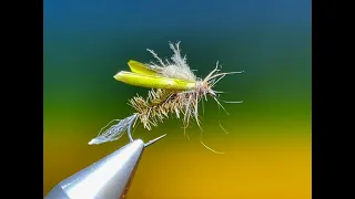 Fly tying a cripple caddis with Barry Ord Clarke