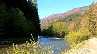 Карпати, с.Синевір,  підїзд до музею лісосплаву