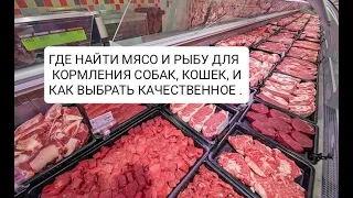 ГДЕ НАЙТИ МЯСО И РЫБУ ДЛЯ КОРМЛЕНИЯ СОБАК, КОШЕК, И КАК ВЫБРАТЬ КАЧЕСТВЕННОЕ .