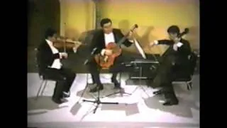 Pedro Soto Trio Paganini A. Vivaldi- Concierto en Re Mayor Allegro-Largo-Allegro