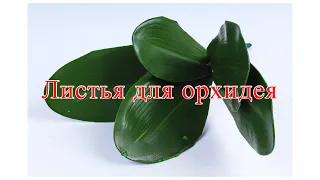 Листья для орхидея из фоамирана / рабочий процесс //DIY/WILD.ROSE_WORKSHOP
