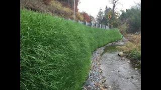 Filtrexx Sustainable Solutions for Bank and Slope Restoration