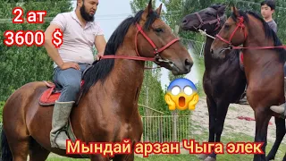 😱😱 эки  АТ  3600  $  арзан   Аттар   Оштон   Чыкты  Мындай болгон эмес