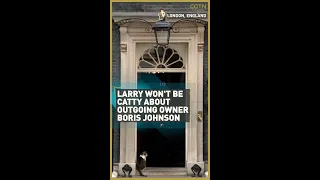 Larry won't be catty about outgoing owner Boris Johnson