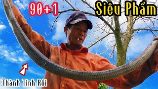 Bảy Thảo Lập Siêu Phẩm Phút 90+1| Hunting Snakes