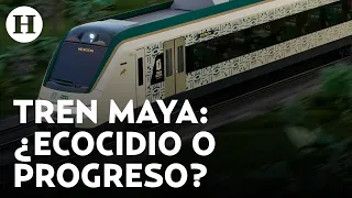 El Tren Maya es una herida a la selva de Quintana Roo, asegura activista | Contra Cara