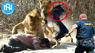 When Animals Go On A Rampage! Interesting Animal Moments CAUGHT ON CAMERA! #18