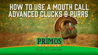 How to Use a Mouth Turkey Call - Advanced Clucking and Purring