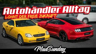 Wird der SLK ein Klassiker? | Bessere Deals im freien Einkauf? | Mustang GT Handschalter, jawoll! 🔥