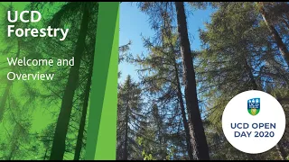 Studying Forestry at UCD - UCD Open Day 2020