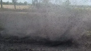 Large multi vortex dust devil (Staubteufel)