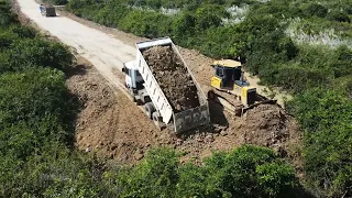 Awesome Mighty SHANTUI Dozer Pushing Dirt Cover on Forestry swamp - New Road Building Construction