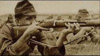 Japanese Use of Captured Allied Weapons in WW2 ( 日本 )