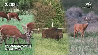 BEST Hunting Compilation 2023 | Hunting in Poland