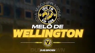 MELÔ DE WELLINGTON // IRIE FM VIP LION // DUB BROWN