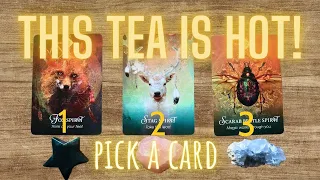 💕 SPILLING THE TEA ON THIS CONNECTION! You Need to Know *THIS* About Your Person! 👀✨ PICK A CARD